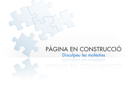 en_construccio