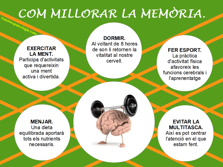 Infografia Memòria.png